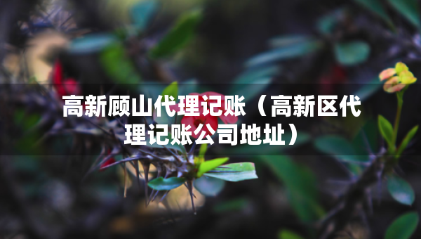 高新顾山代理记账（高新区代理记账公司地址）