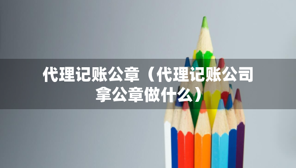 代理记账公章（代理记账公司拿公章做什么）