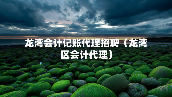 龙湾会计记账代理招聘（龙湾区会计代理）