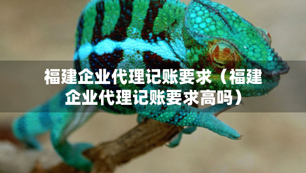 福建企业代理记账要求（福建企业代理记账要求高吗）
