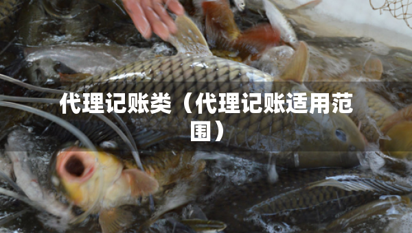 代理记账类（代理记账适用范围）