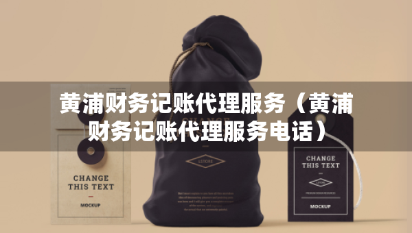 黄浦财务记账代理服务（黄浦财务记账代理服务电话）