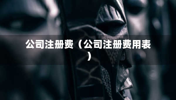 公司注册费（公司注册费用表）