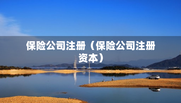 保险公司注册（保险公司注册资本）