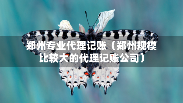 郑州专业代理记账（郑州规模比较大的代理记账公司）
