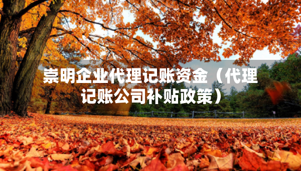 崇明企业代理记账资金(代理记账公司补贴政策) 崇明企业代理记账资金(代理记账公司补贴政策)