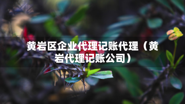 黄岩区企业代理记账代理（黄岩代理记账公司）
