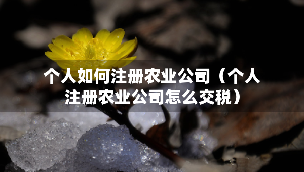 个人如何注册农业公司（个人注册农业公司怎么交税）