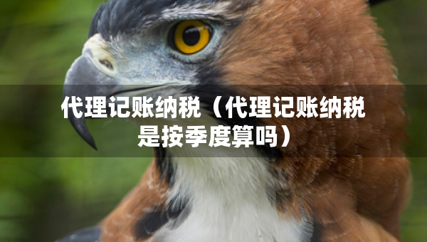 代理记账纳税（代理记账纳税是按季度算吗）