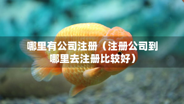 哪里有公司注册（注册公司到哪里去注册比较好）