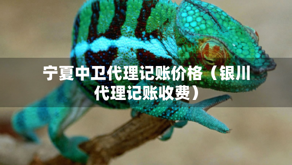 宁夏中卫代理记账价格（银川代理记账收费）