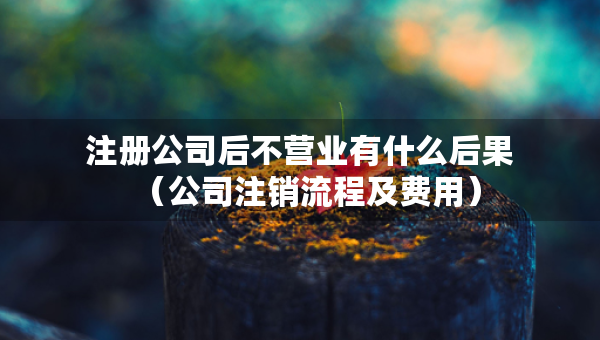注册公司后不营业有什么后果（公司注销流程及费用）
