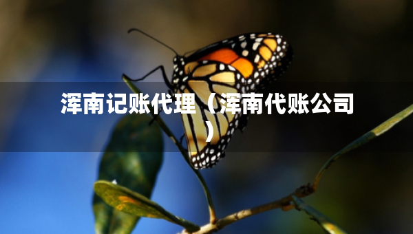 浑南记账代理（浑南代账公司）