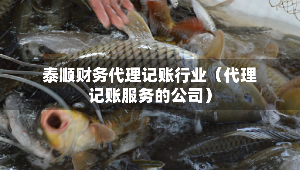 泰顺财务代理记账行业（代理记账服务的公司）