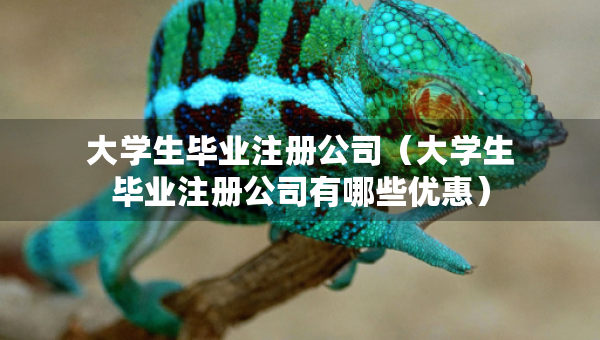 大学生毕业注册公司（大学生毕业注册公司有哪些优惠）