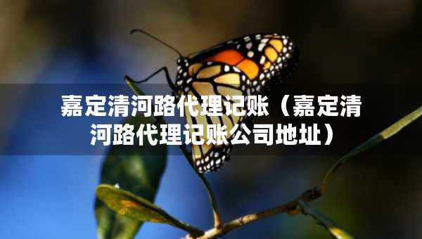 嘉定清河路代理记账（嘉定清河路代理记账公司地址）