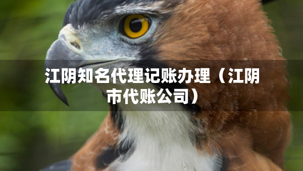 江阴知名代理记账办理（江阴市代账公司）