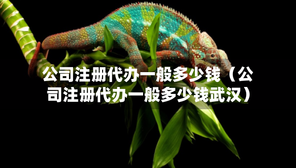 公司注册代办一般多少钱（公司注册代办一般多少钱武汉）