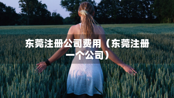 东莞注册公司费用（东莞注册一个公司）