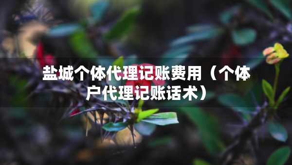 盐城个体代理记账费用（个体户代理记账话术）