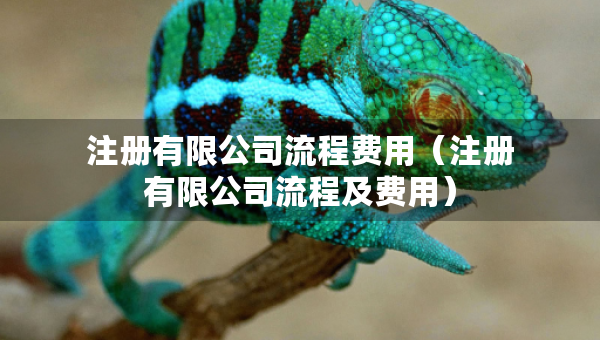 注册有限公司流程费用（注册有限公司流程及费用）
