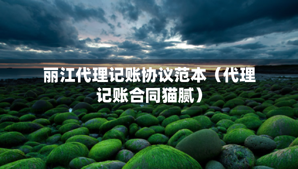丽江代理记账协议范本（代理记账合同猫腻）