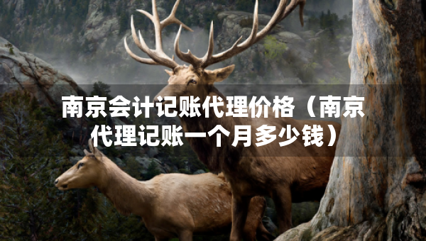 南京会计记账代理价格（南京代理记账一个月多少钱）