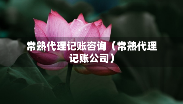 常熟代理记账咨询（常熟代理记账公司）