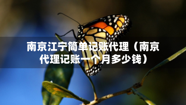 南京江宁简单记账代理（南京代理记账一个月多少钱）
