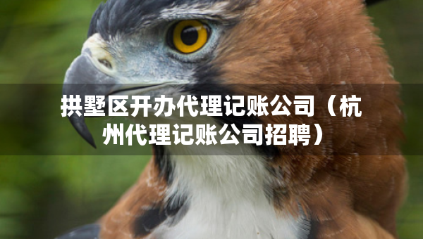 拱墅区开办代理记账公司（杭州代理记账公司招聘）