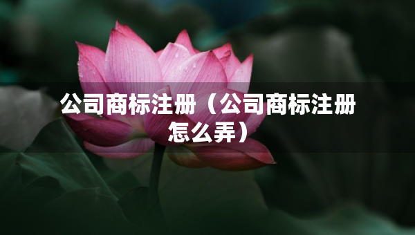 公司商标注册（公司商标注册怎么弄）