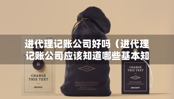 进代理记账公司好吗（进代理记账公司应该知道哪些基本知识）
