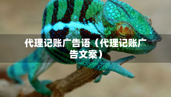 代理记账广告语（代理记账广告文案）