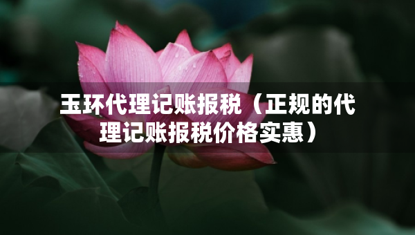玉环代理记账报税（正规的代理记账报税价格实惠）