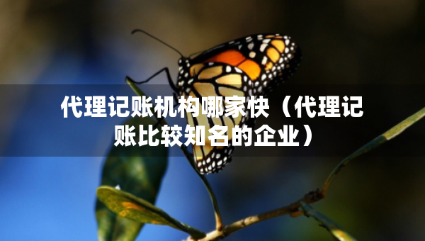代理记账机构哪家快（代理记账比较知名的企业）