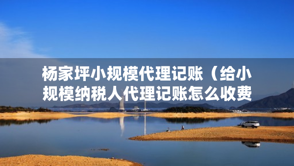 杨家坪小规模代理记账（给小规模纳税人代理记账怎么收费）