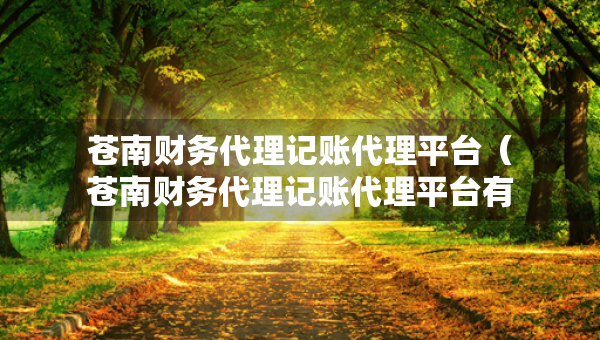 苍南财务代理记账代理平台（苍南财务代理记账代理平台有哪些）