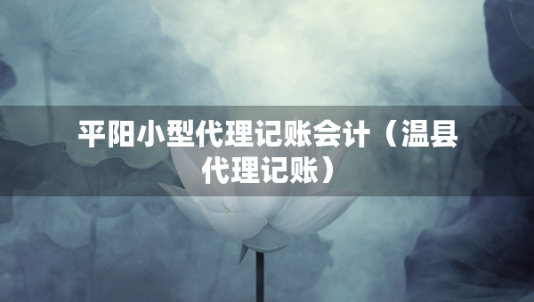 平阳小型代理记账会计（温县代理记账）