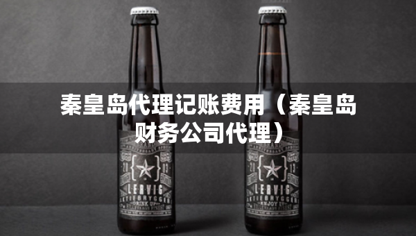 秦皇岛代理记账费用（秦皇岛财务公司代理）