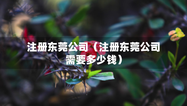 注册东莞公司（注册东莞公司需要多少钱）