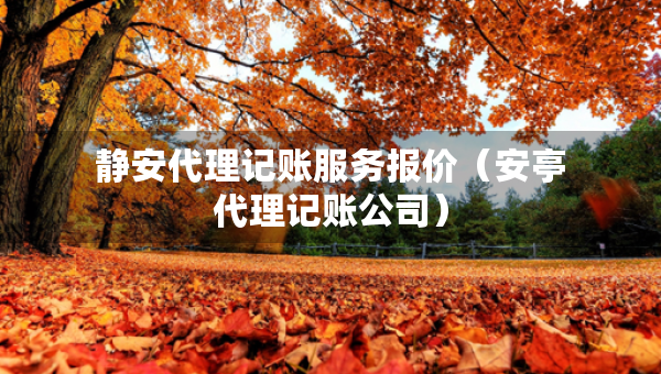 静安代理记账服务报价（安亭代理记账公司）