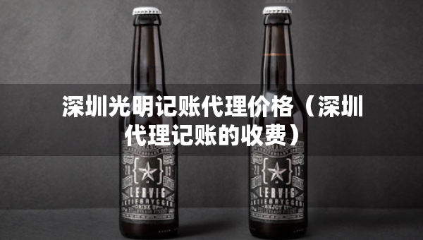 深圳光明记账代理价格（深圳代理记账的收费）
