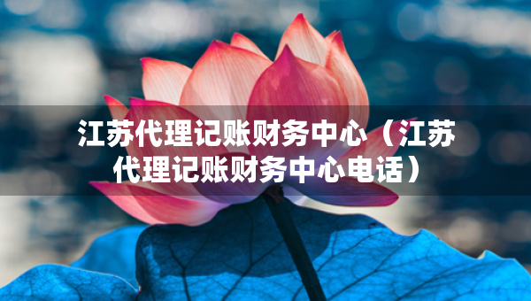 江苏代理记账财务中心（江苏代理记账财务中心电话）