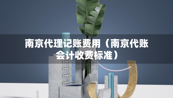 南京代理记账费用（南京代账会计收费标准）
