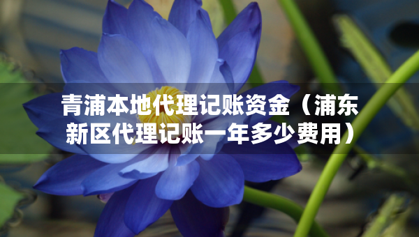 青浦本地代理记账资金（浦东新区代理记账一年多少费用）