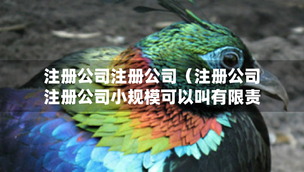 注册公司注册公司（注册公司注册公司小规模可以叫有限责任公司吗）