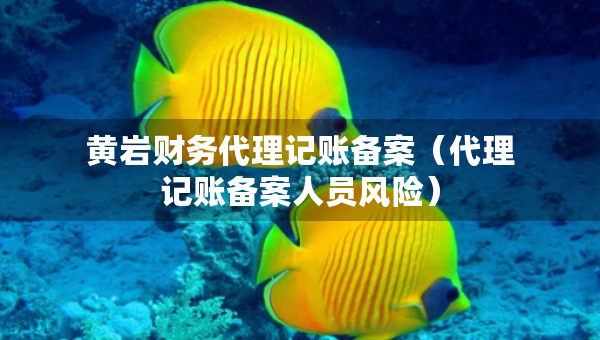 黄岩财务代理记账备案（代理记账备案人员风险）