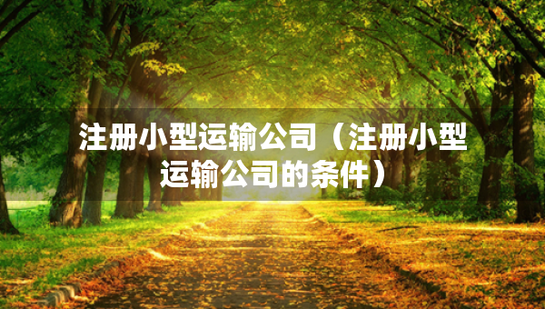 注册小型运输公司（注册小型运输公司的条件）