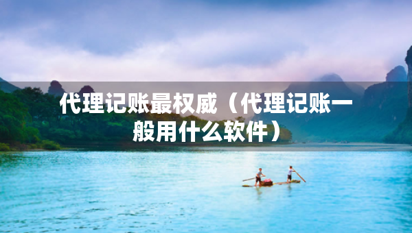 代理记账最权威（代理记账一般用什么软件）