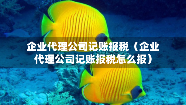 企业代理公司记账报税（企业代理公司记账报税怎么报）